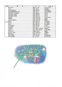 202407-5.jpg